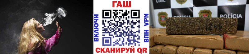 дарнет шоп  Новозыбков  гидра как зайти  Гашиш индика сатива 