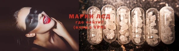 сатива Алзамай