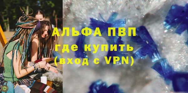 стафф Алексин