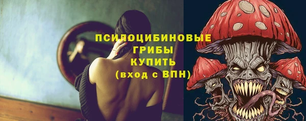 сатива Алзамай