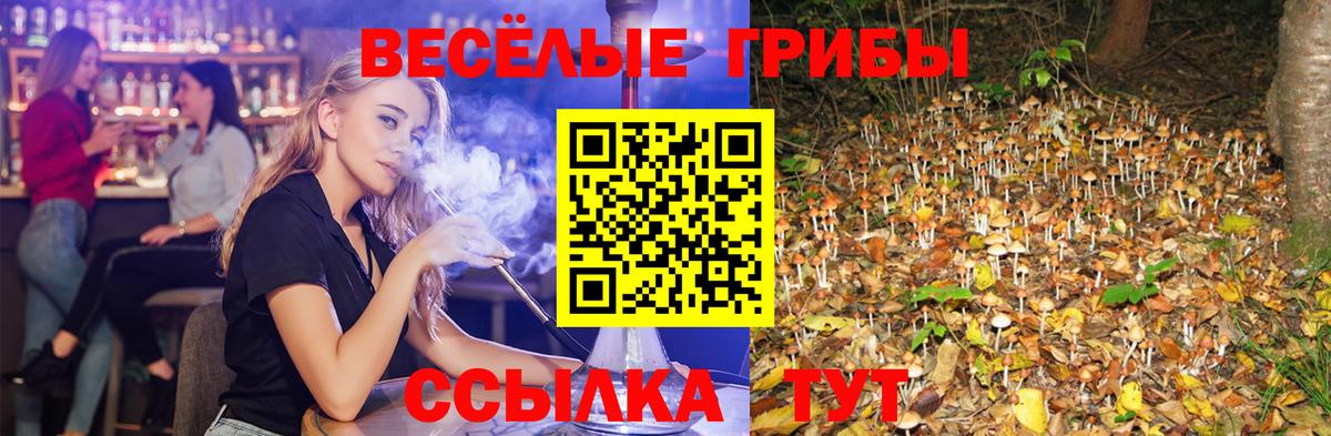 Псилоцибиновые грибы Magic Shrooms Новозыбков