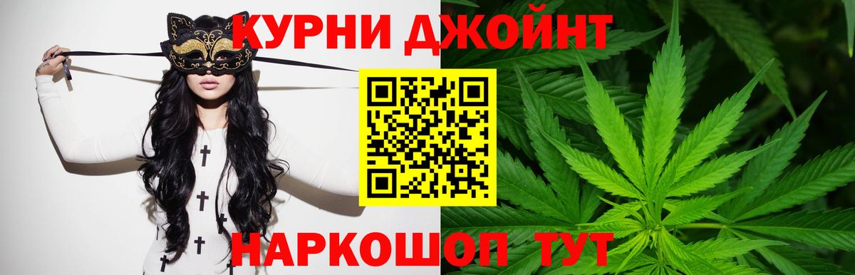 Новозыбков  Канабис White Widow  Вход с VPN  Шишки марихуана сатива  МАРИХУАНА AK-47 